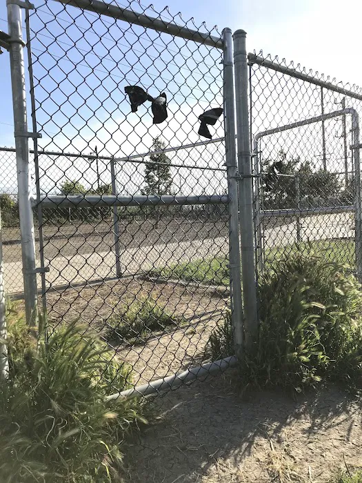 Tanzanite Dog Park 4