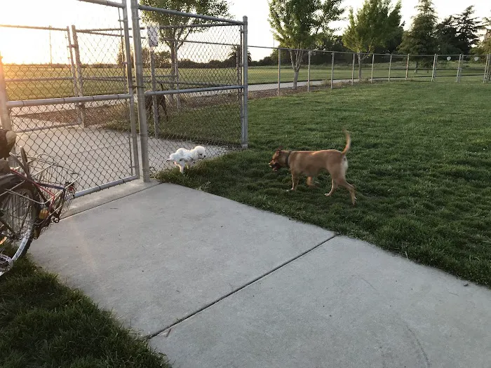 Tanzanite Dog Park 6
