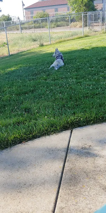 Tanzanite Dog Park 8