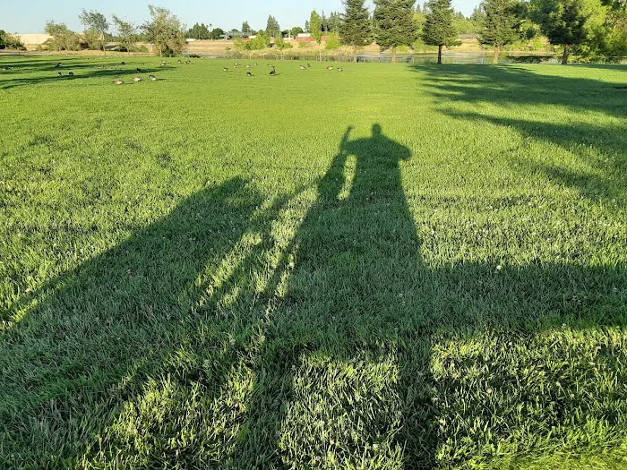 Tanzanite Dog Park 7