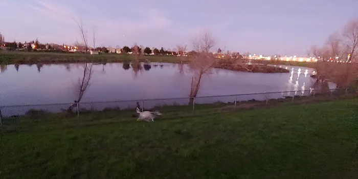 Tanzanite Dog Park 5