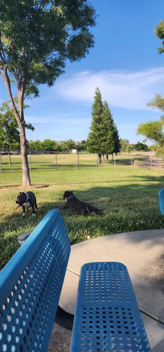 Tanzanite Dog Park 10