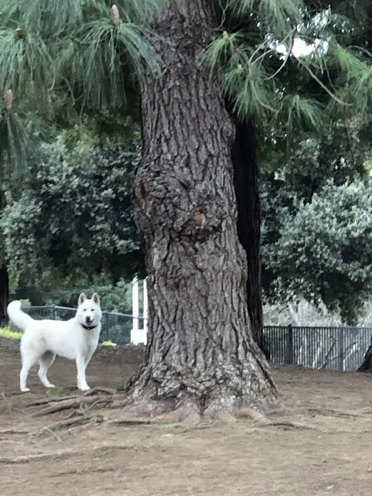 Partner Park Dog Park 5