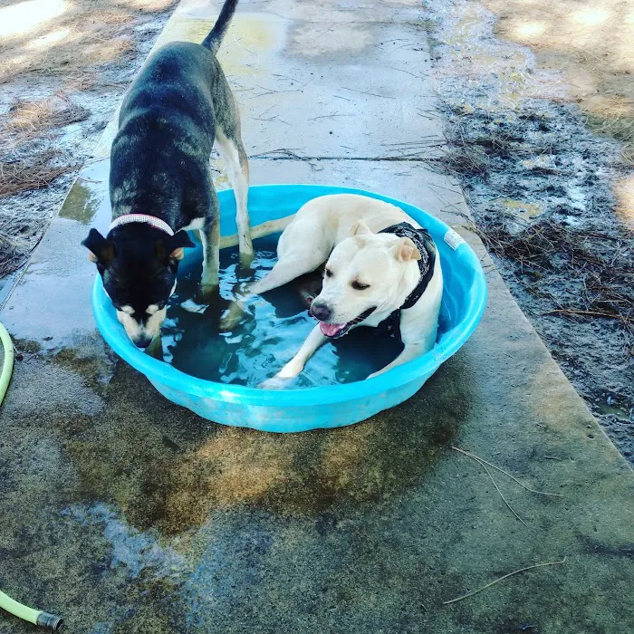 Partner Park Dog Park 9