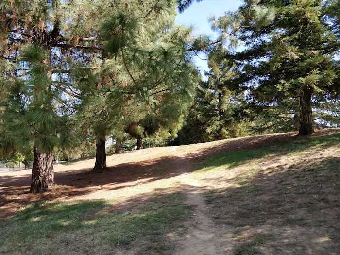 Partner Park Dog Park 8