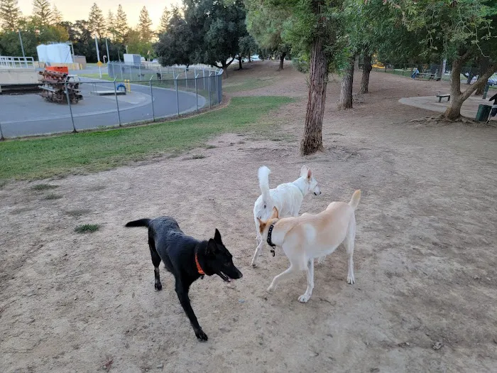 Partner Park Dog Park 3