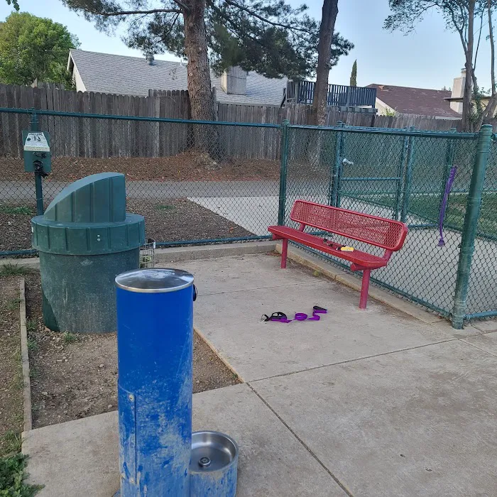 Summerfield Dog Park 7