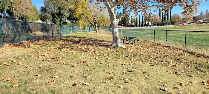 Summerfield Dog Park 8