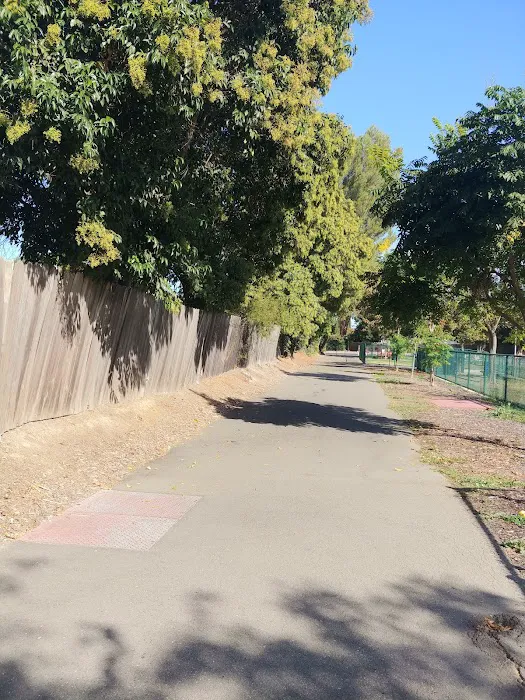 Summerfield Dog Park 4