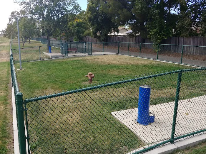 Summerfield Dog Park 5