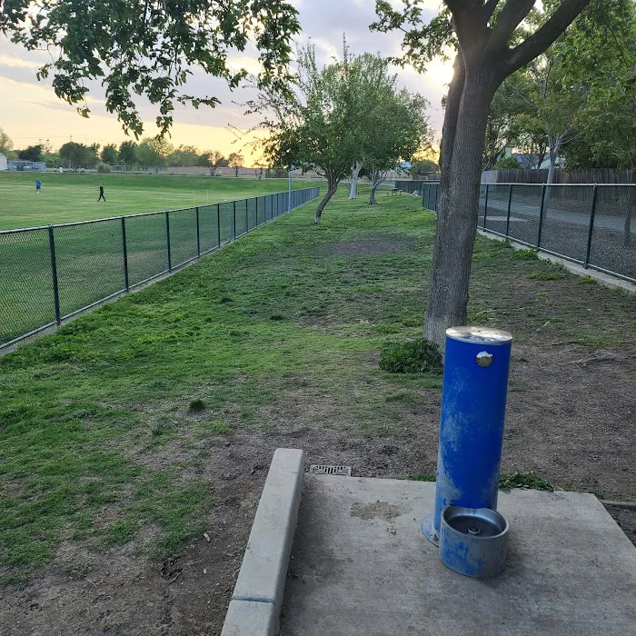 Summerfield Dog Park 9