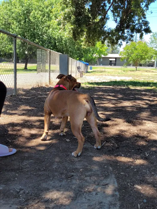 Howe Ave Park Off Leash Dog Park 5