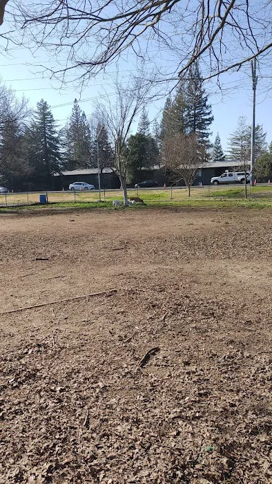 Howe Ave Park Off Leash Dog Park 4