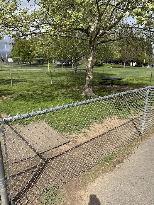Howe Ave Park Off Leash Dog Park 7