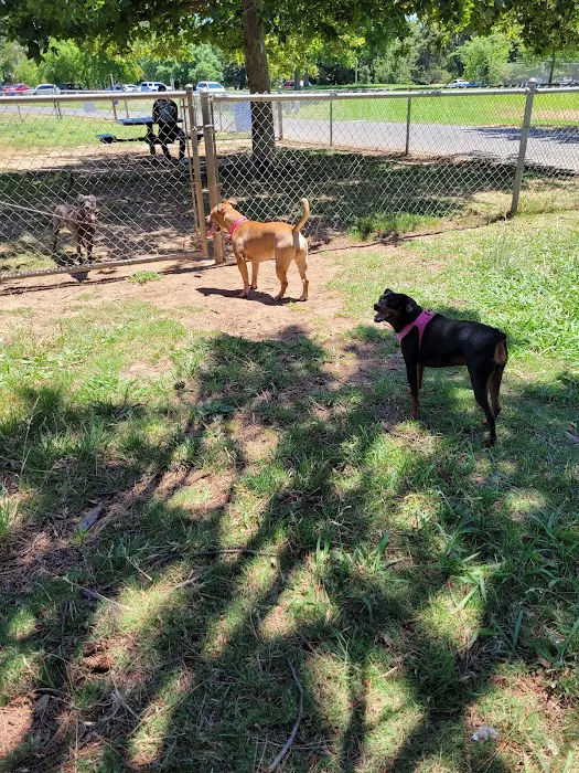 Howe Ave Park Off Leash Dog Park 9