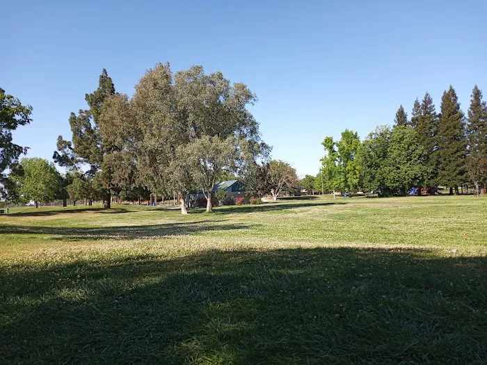 Howe Ave Park Off Leash Dog Park 10