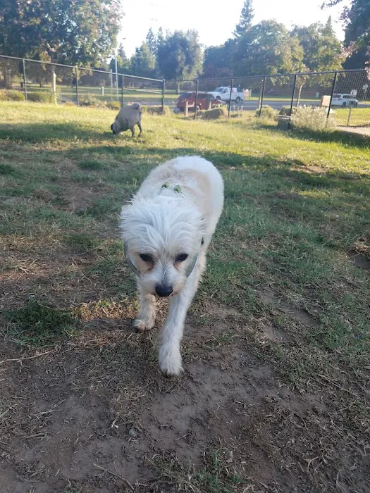 University Park Dog Park 7