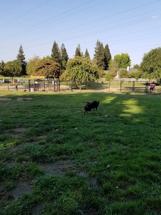 University Park Dog Park 9