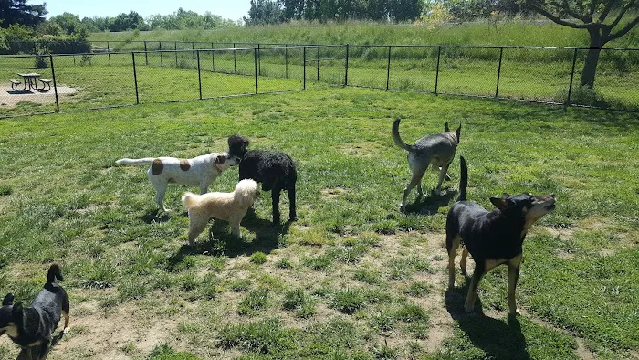 University Park Dog Park 5