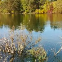 University Park Dog Park ico
