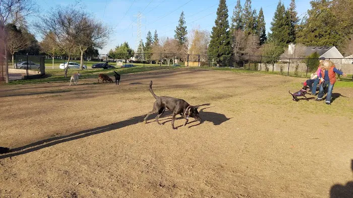University Park Dog Park 2