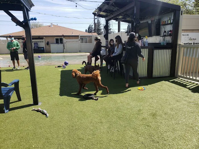 The Local Bark Park 7