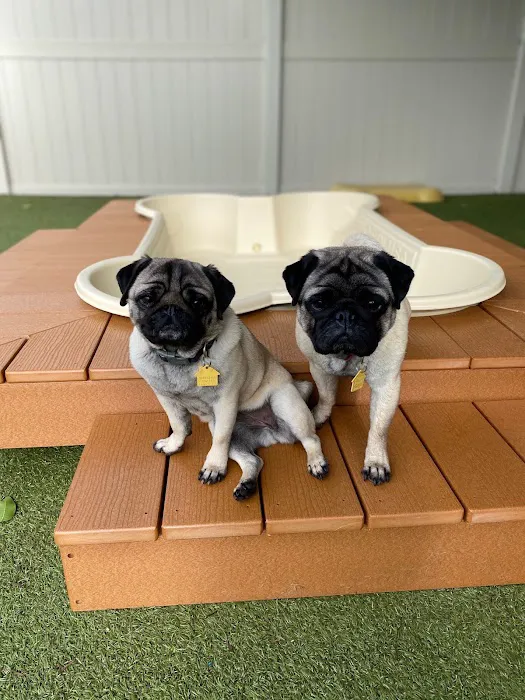 The Local Bark Park 8