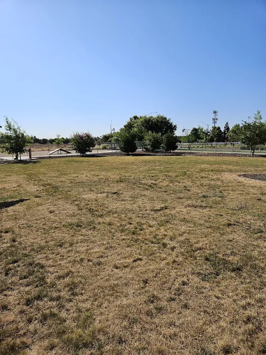 North Natomas Regional Dog Park 1