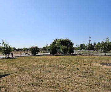 North Natomas Regional Dog Park