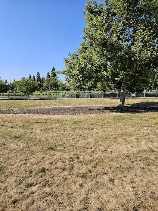 North Natomas Regional Dog Park 2