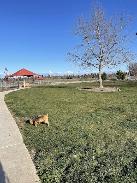 North Natomas Regional Dog Park 8