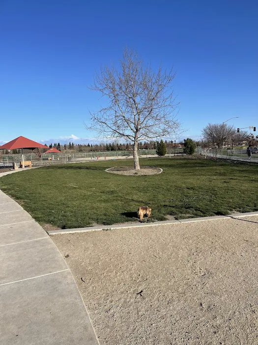 North Natomas Regional Dog Park 7