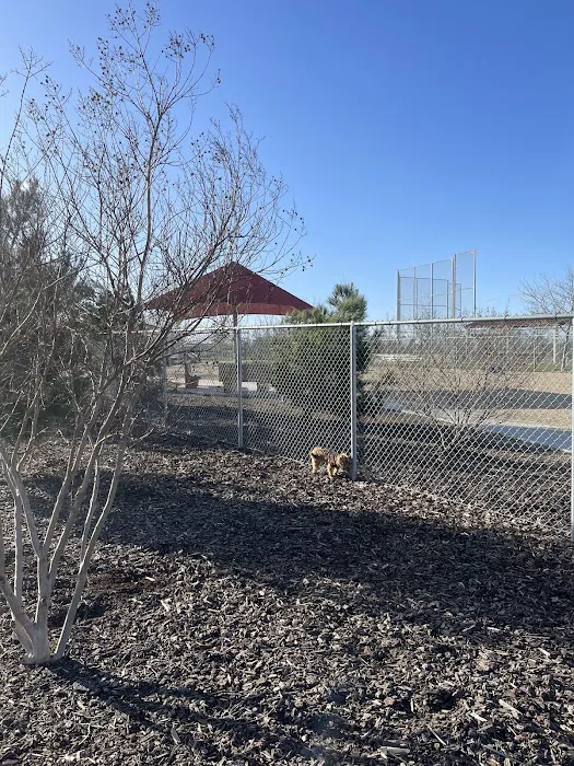 North Natomas Regional Dog Park 5