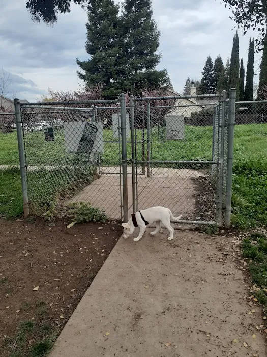 Glenbrook Large Dog Park 3