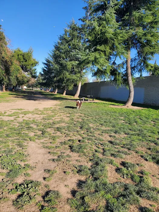 Glenbrook Large Dog Park 2
