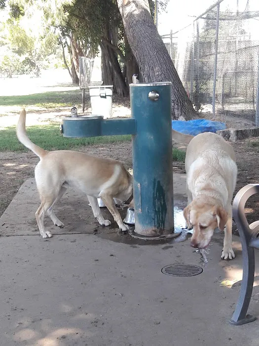 Glenbrook Large Dog Park 1