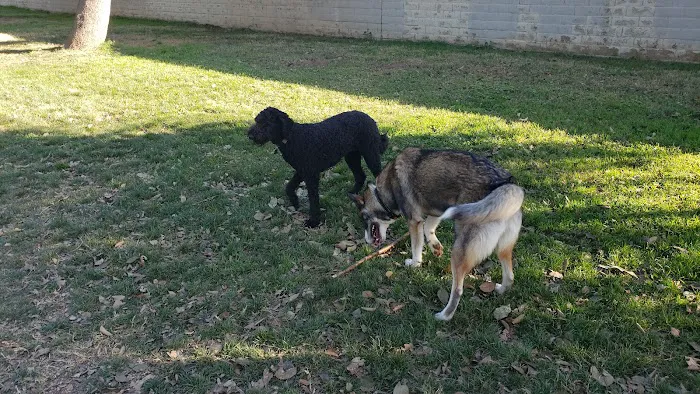 Glenbrook Large Dog Park 4