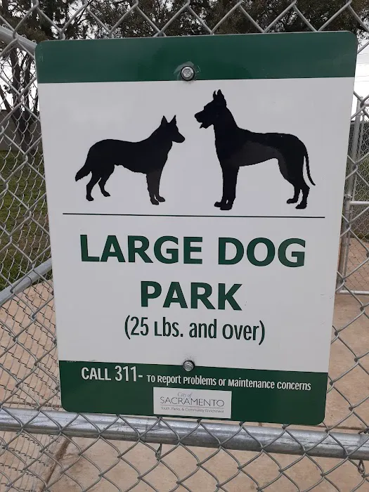 Glenbrook Large Dog Park 5