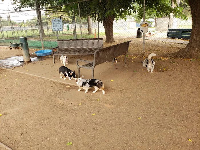 Glenbrook Large Dog Park 6