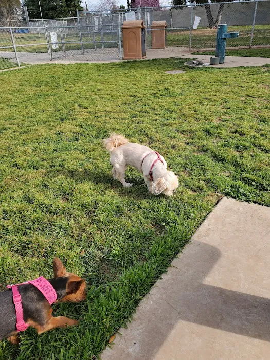 Glenbrook Large Dog Park 7