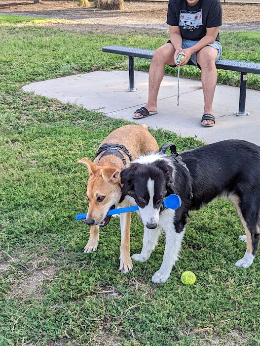 Dog Park - Regency Community Park 5