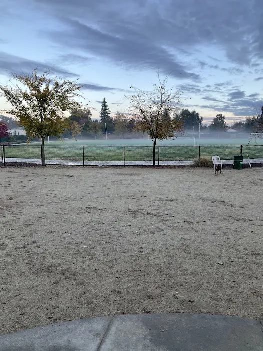 Eastern oak park - dog park 8