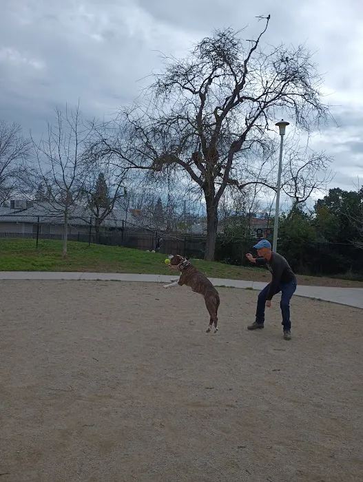 Eastern oak park - dog park 2