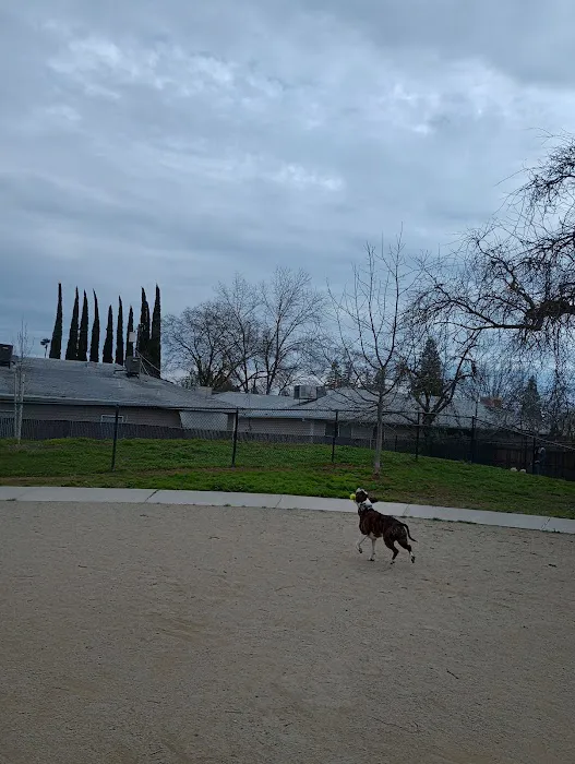 Eastern oak park - dog park 1