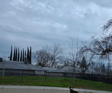 Eastern oak park - dog park