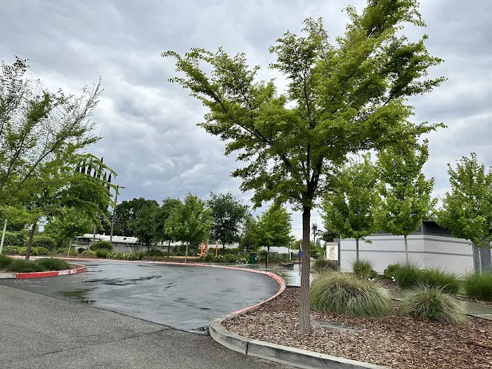 Eastern oak park - dog park 4