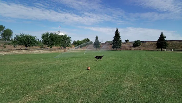 Lynn Robie Off-Leash Dog Park 2