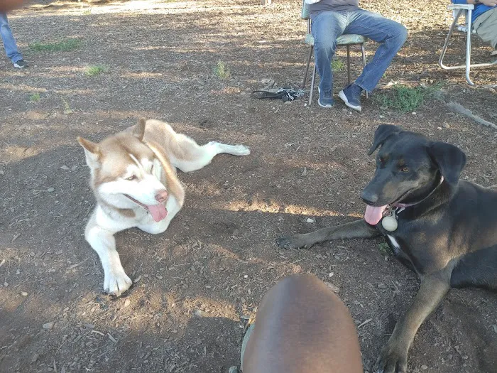 Lynn Robie Off-Leash Dog Park 3