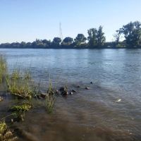 Lynn Robie Off-Leash Dog Park ico