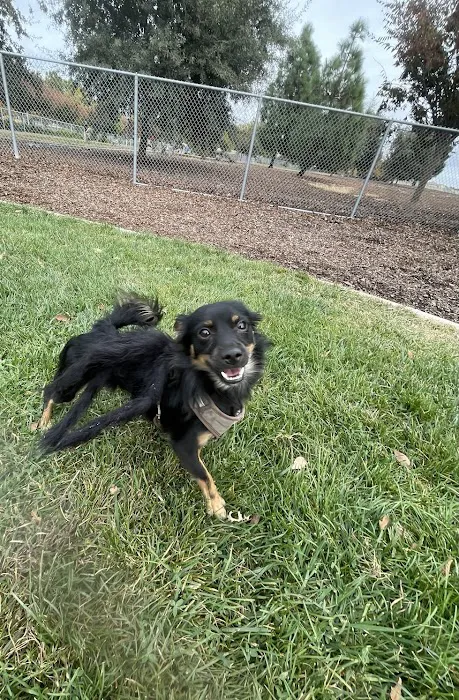 Lynn Robie Off-Leash Dog Park 7